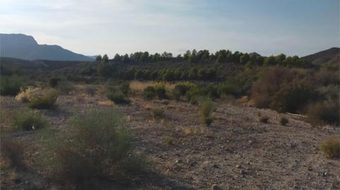 Photo 2 of Non-constructible Land for sale in Diputacion Pastrana, 4, Bolnuevo, Murcia