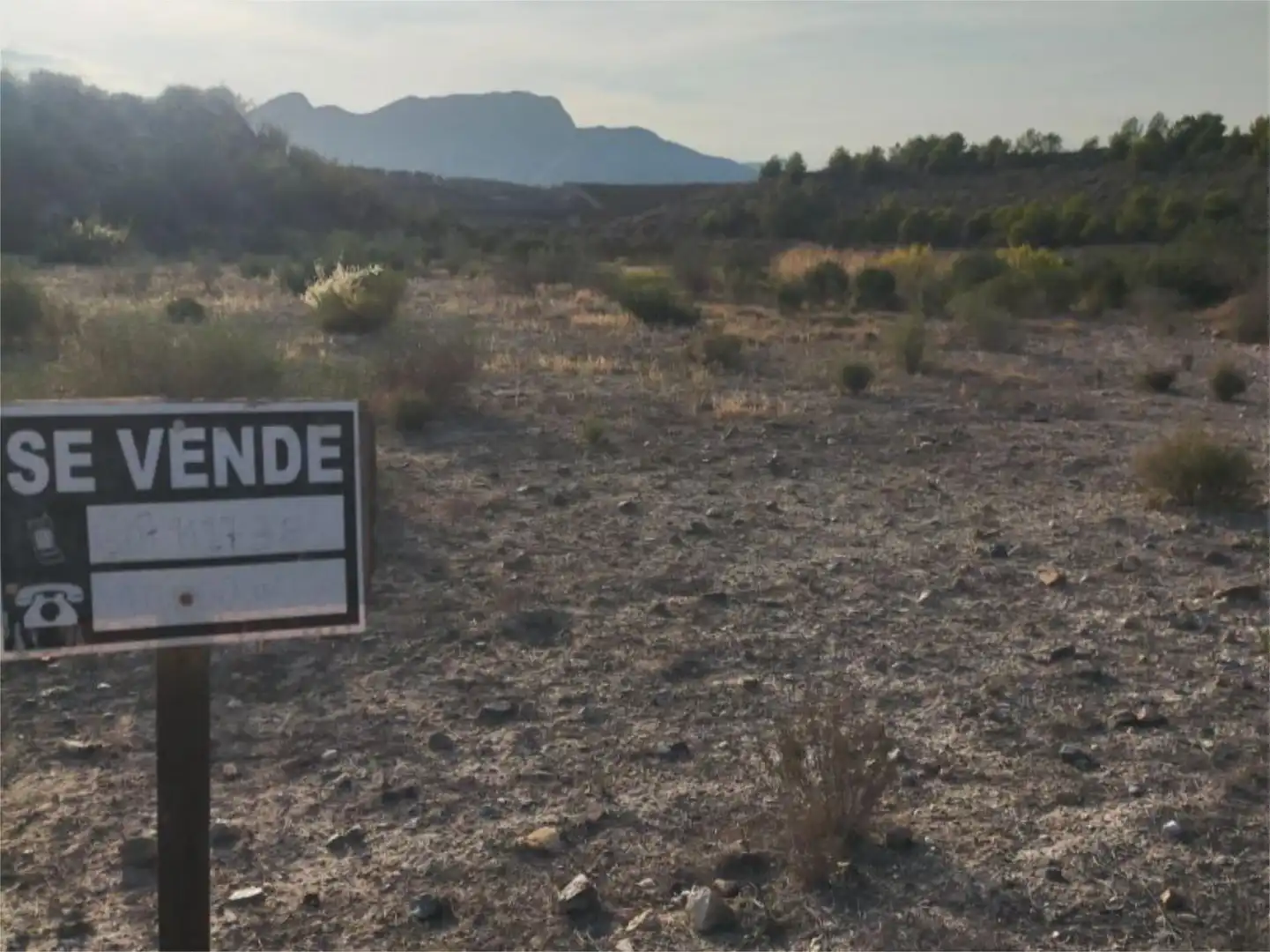 Non-constructible Land for sale in Mazarrón