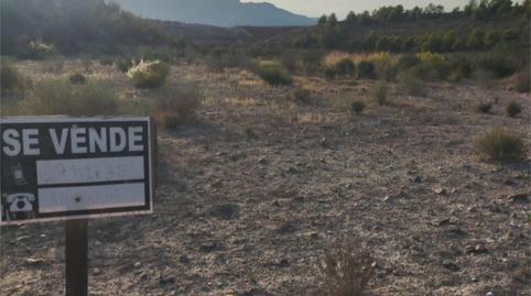 Photo 3 of Non-constructible Land for sale in Diputacion Pastrana, 4, Bolnuevo, Murcia