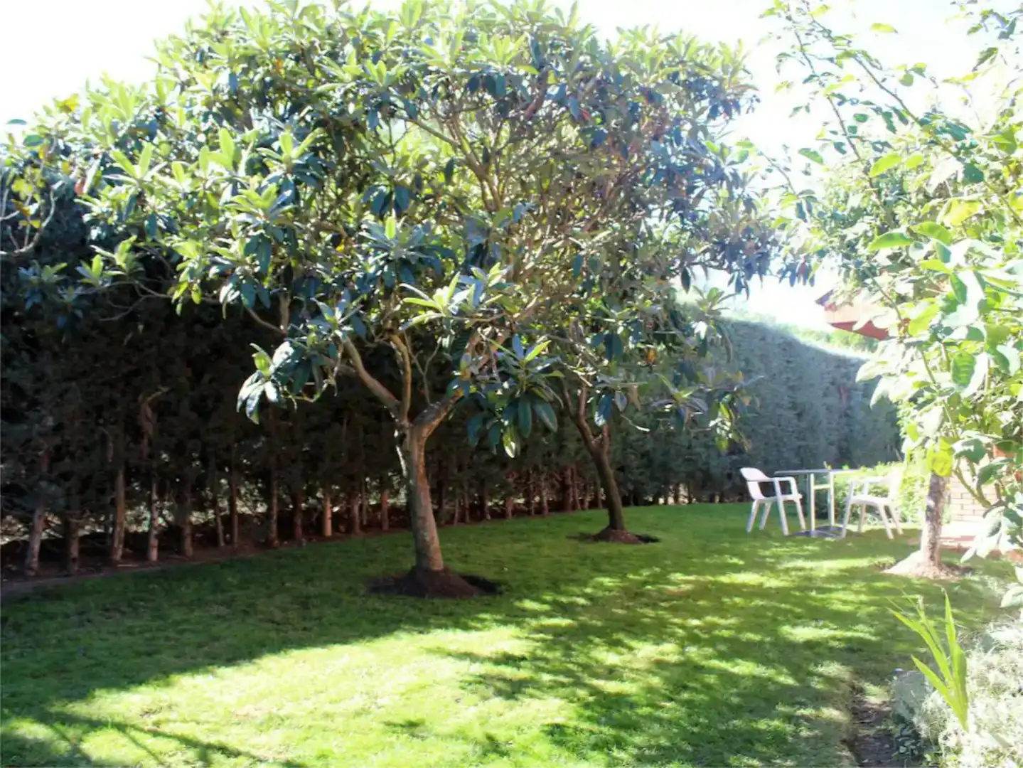 Country homes for sale in Los Nietos de Miranda, 25, Pedanías Oeste Garden of Country homes for sale in Cartagena with Air Conditioner and Swimming Pool