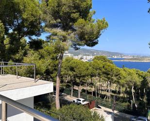 Vista exterior de Casa o xalet en venda en Calvià amb Aire condicionat, Terrassa i Piscina