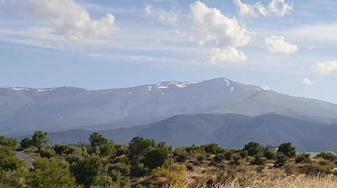 Country house for sale in Guadix, Granada - image 3 Photo 3 of Country house for sale in Guadix, Granada