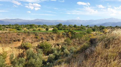Country house for sale in Guadix, Granada - image 4 Photo 4 of Country house for sale in Guadix, Granada