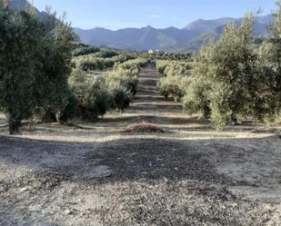 Land for sale in Bedmar y Garcíez