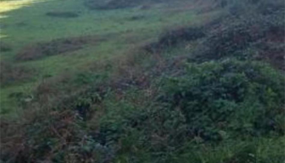 Photo 1 of Non-constructible Land for sale in Lugar Salgueiron, 1, Ortigueira, A Coruña