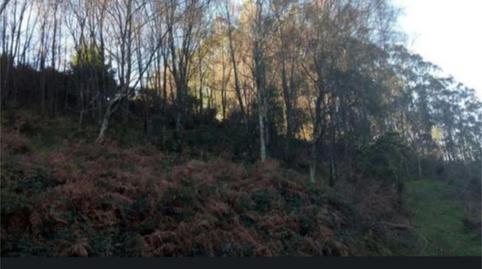 Photo 3 of Non-constructible Land for sale in Lugar Salgueiron, 1, Ortigueira, A Coruña