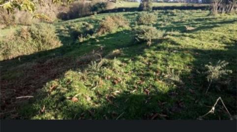 Photo 2 of Non-constructible Land for sale in Lugar Salgueiron, 1, Ortigueira, A Coruña