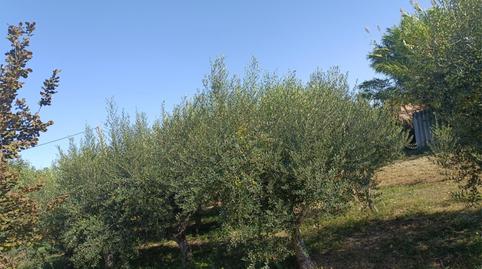 Foto 5 de Finca rústica en venda a Les Borges Blanques, Lleida