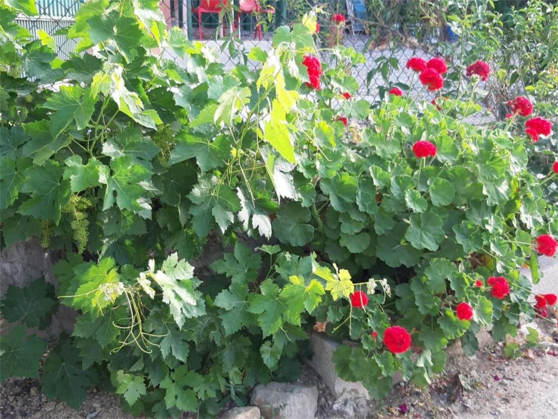 Garden of Non-constructible Land for sale in Coín