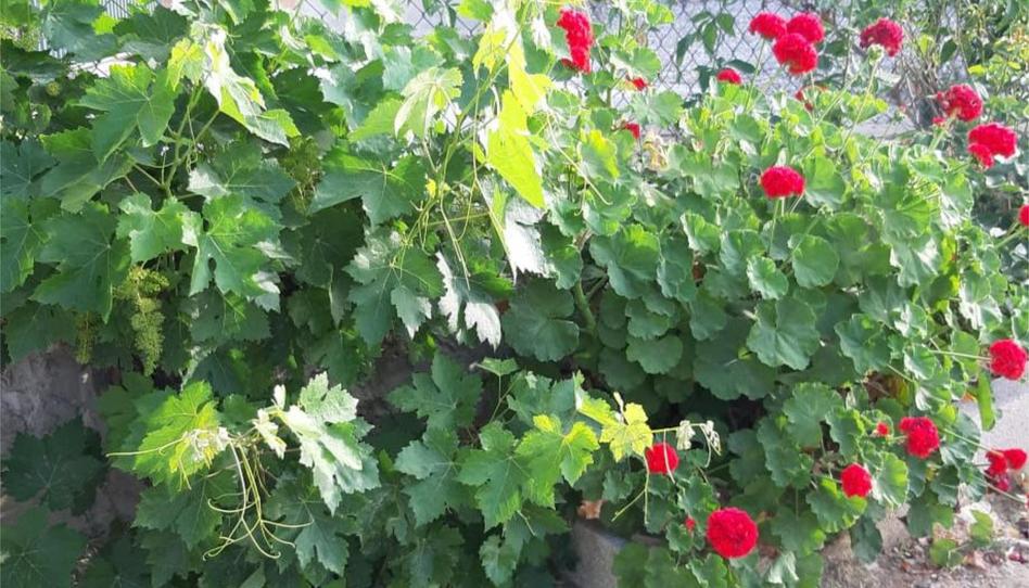 Non-constructible Land for sale in Lugar Partido las Angosturas, 10, Coín, Málaga - image 1 Photo 1 of Non-constructible Land for sale in Lugar Partido las Angosturas, 10, Coín, Málaga