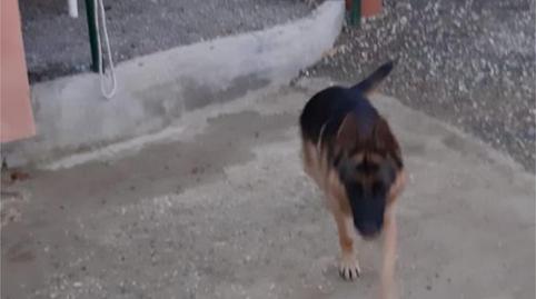 Non-constructible Land for sale in Lugar Partido las Angosturas, 10, Coín, Málaga - image 4 Photo 4 of Non-constructible Land for sale in Lugar Partido las Angosturas, 10, Coín, Málaga