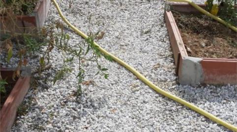 Non-constructible Land for sale in Lugar Partido las Angosturas, 10, Coín, Málaga - image 5 Photo 5 of Non-constructible Land for sale in Lugar Partido las Angosturas, 10, Coín, Málaga