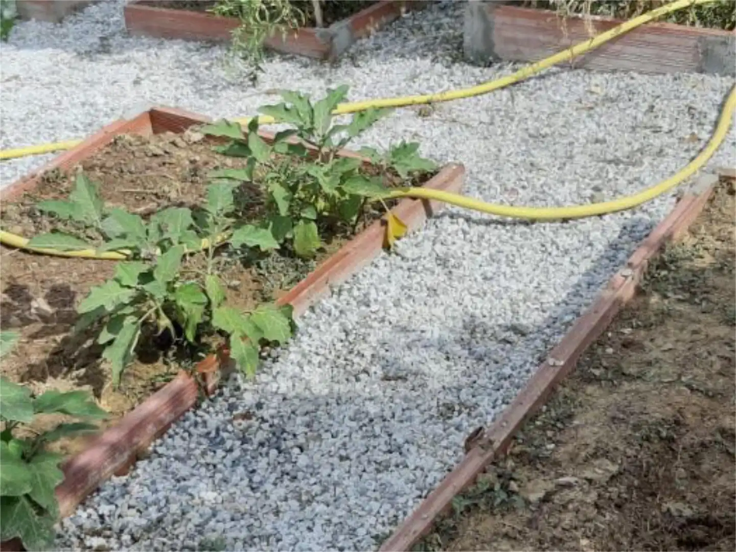 Jardí de No Urbanitzable en venda en Coín