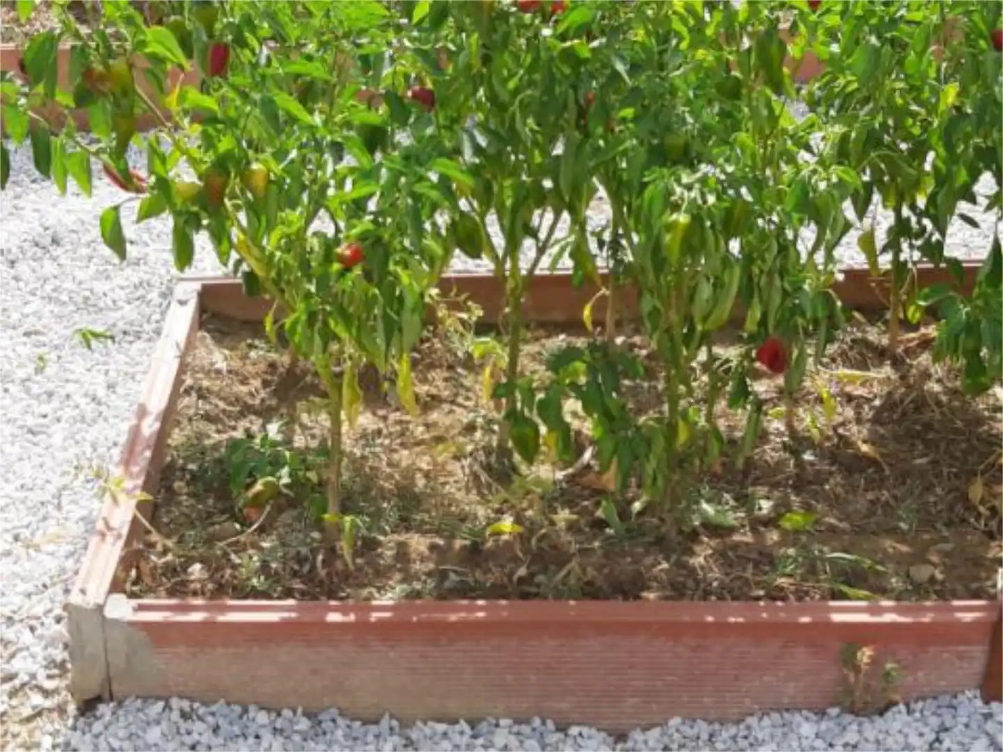 Jardí de No Urbanitzable en venda en Coín