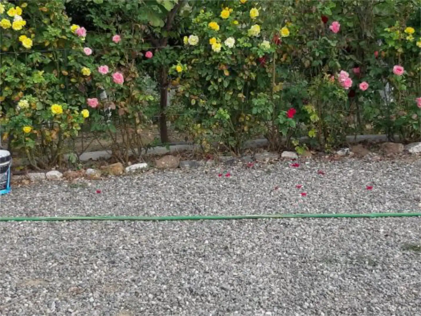 Jardí de No Urbanitzable en venda en Coín