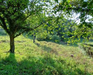 Finca rústica en venda en Siero