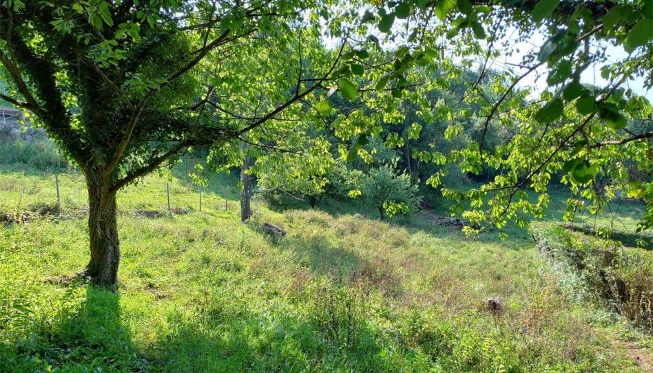 Finca rústica en venda a Parroquias Norte, Siero - imatge 1 Foto 1 de Finca rústica en venda a Parroquias Norte, Siero