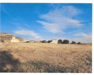 Land for sale in Castrojeriz