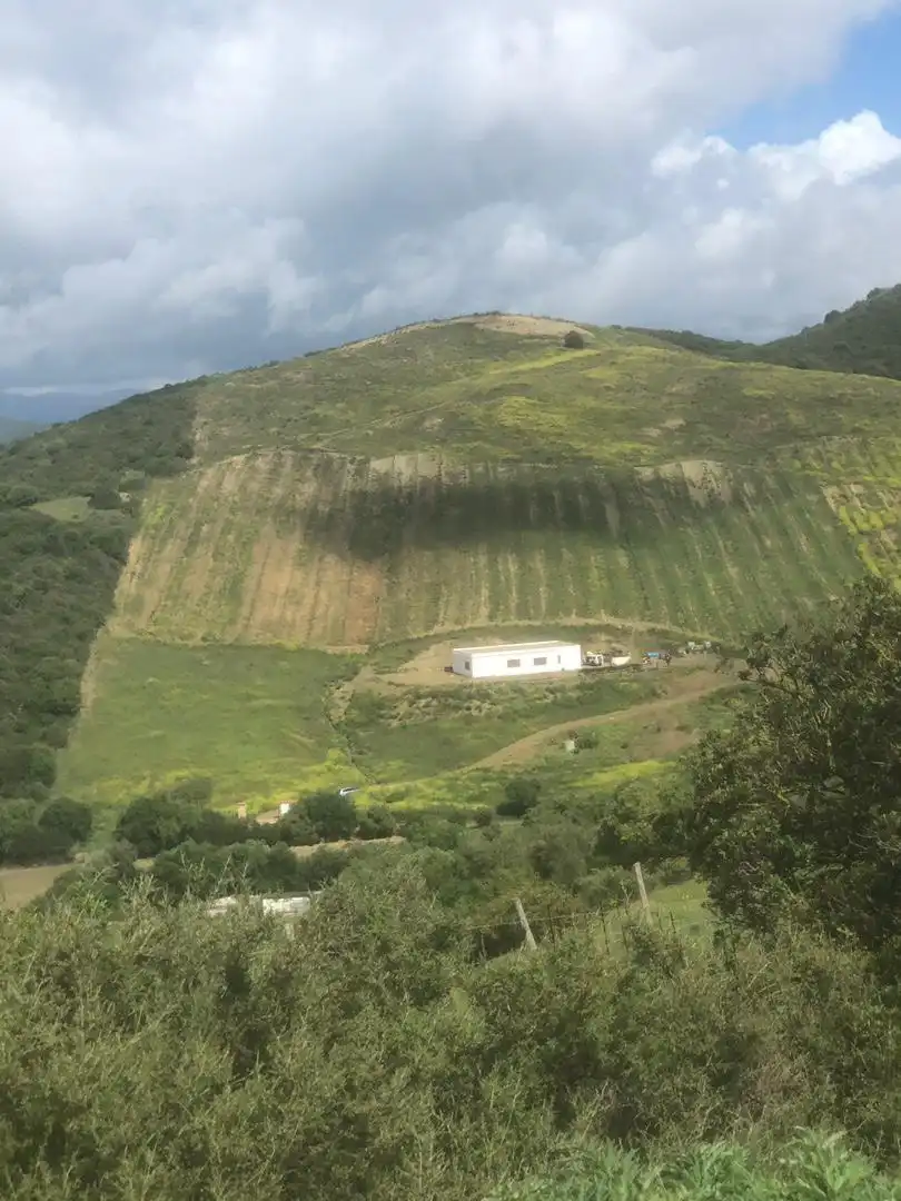 Grundstücke zum Verkauf in Sotogrande