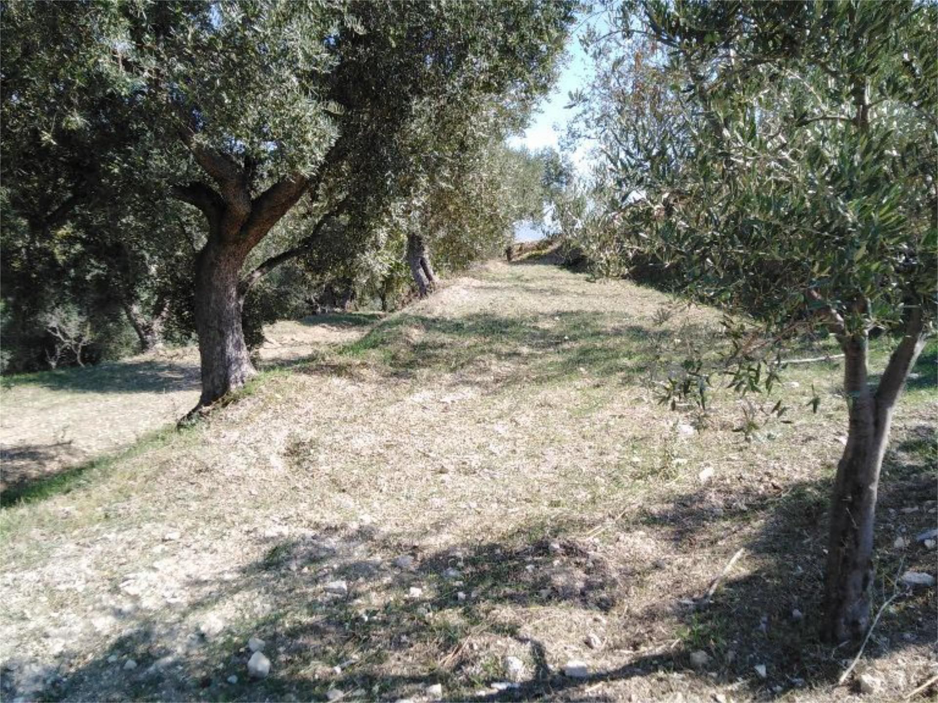 Country house for sale in Lanjarón