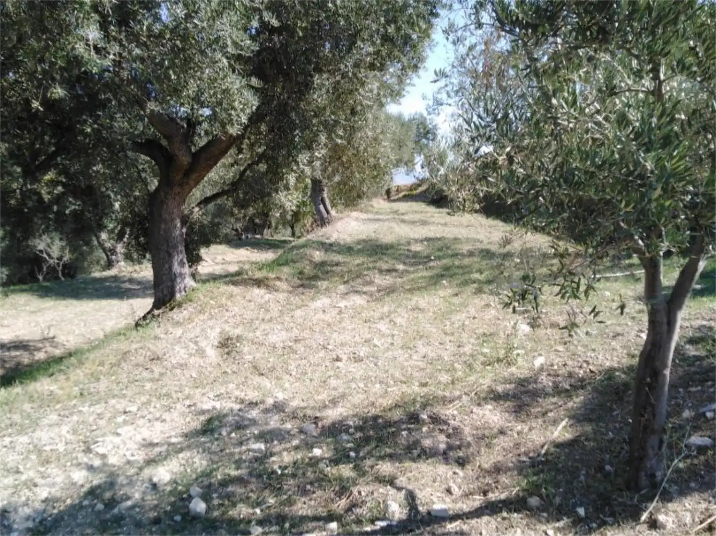 Finca rústica en venda en Lanjarón