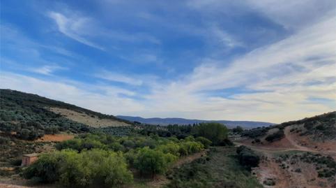 House or chalet for sale in Calle José Antonio C, 17, Malagón, Ciudad Real - image 5 Photo 5 of House or chalet for sale in Calle José Antonio C, 17, Malagón, Ciudad Real
