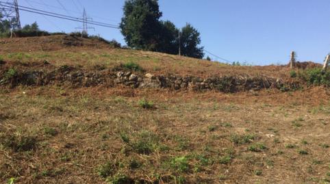 Foto 4 de Finca rústica en venda a Castrelo de Miño, Ourense