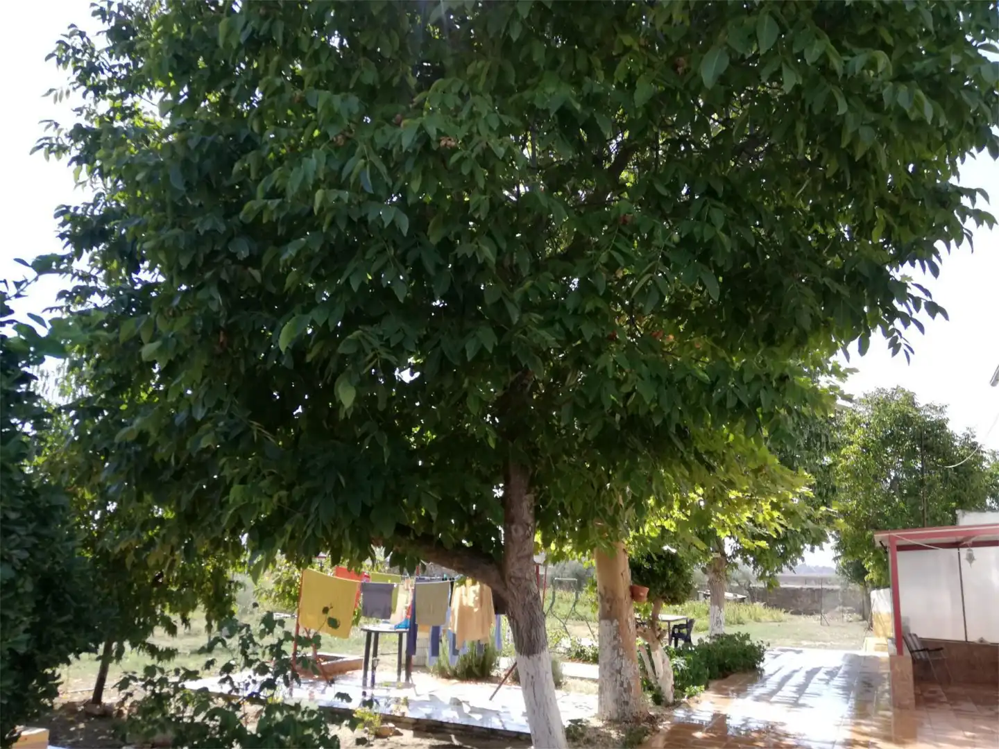 Garden of Country homes for sale in La Granjuela  with Air Conditioner, Heating and Private garden