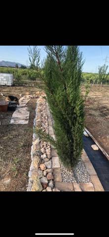 Terreno en Venta en Carrer de Barranco de Fraga, 178 en Ensanche - Parque Santa Rosa