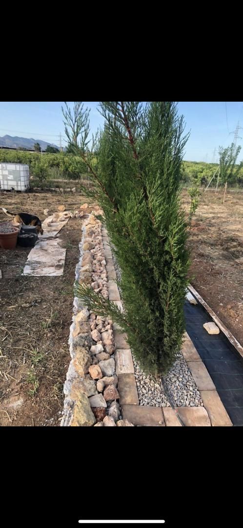 Garden of Land for sale in Castellón de la Plana / Castelló de la Plana