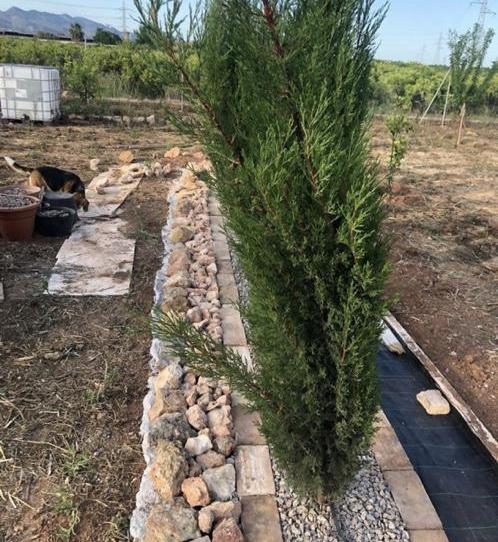 Land for sale in Carrer de Barranco de Fraga, 178, Ensanche - Parque Santa Rosa, Castellón - image 1 Photo 1 of Land for sale in Carrer de Barranco de Fraga, 178, Ensanche - Parque Santa Rosa, Castellón