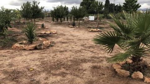 Land for sale in Carrer de Barranco de Fraga, 178, Ensanche - Parque Santa Rosa, Castellón - image 5 Photo 5 of Land for sale in Carrer de Barranco de Fraga, 178, Ensanche - Parque Santa Rosa, Castellón