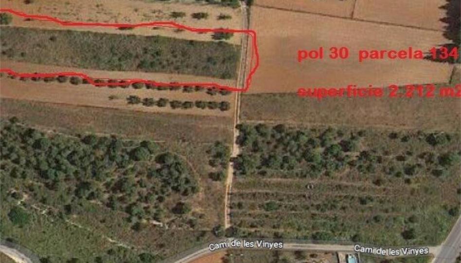 Finca rústica en venda a Carrer Benitachell, 9, Partides comunes - Adsubia, Alicante - imatge 1 Foto 1 de Finca rústica en venda a Carrer Benitachell, 9, Partides comunes - Adsubia, Alicante