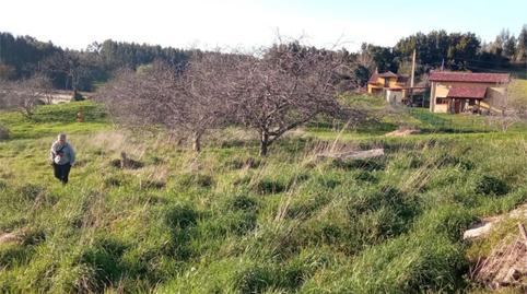 Foto 2 de Terreny en venda a Pillarno, Asturias
