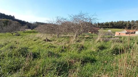 Foto 5 de Terreny en venda a Pillarno, Asturias