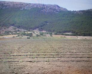 Land for sale in Zafarraya  with Air Conditioner and Terrace