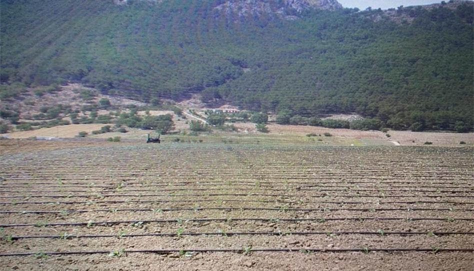 Photo 1 of Land for sale in Zafarraya, Granada