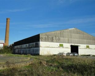 Exterior view of Industrial land for sale in Tocina
