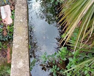 Piscina de Finca rústica en venda en La Sénia