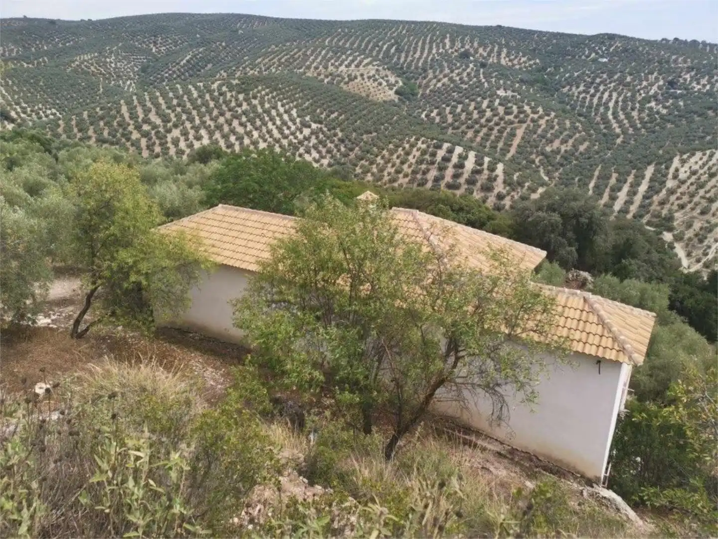 Finca rústica en venta en Villanueva de Algaidas Vista exterior de Finca rústica en venta en Villanueva de Algaidas