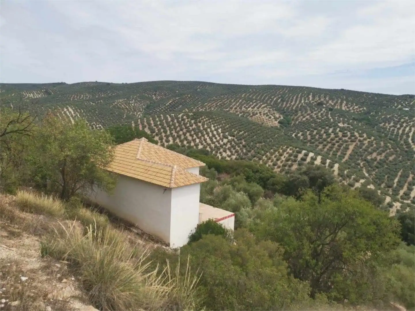 Finca rústica en venta en Villanueva de Algaidas Finca rústica en venta en Villanueva de Algaidas