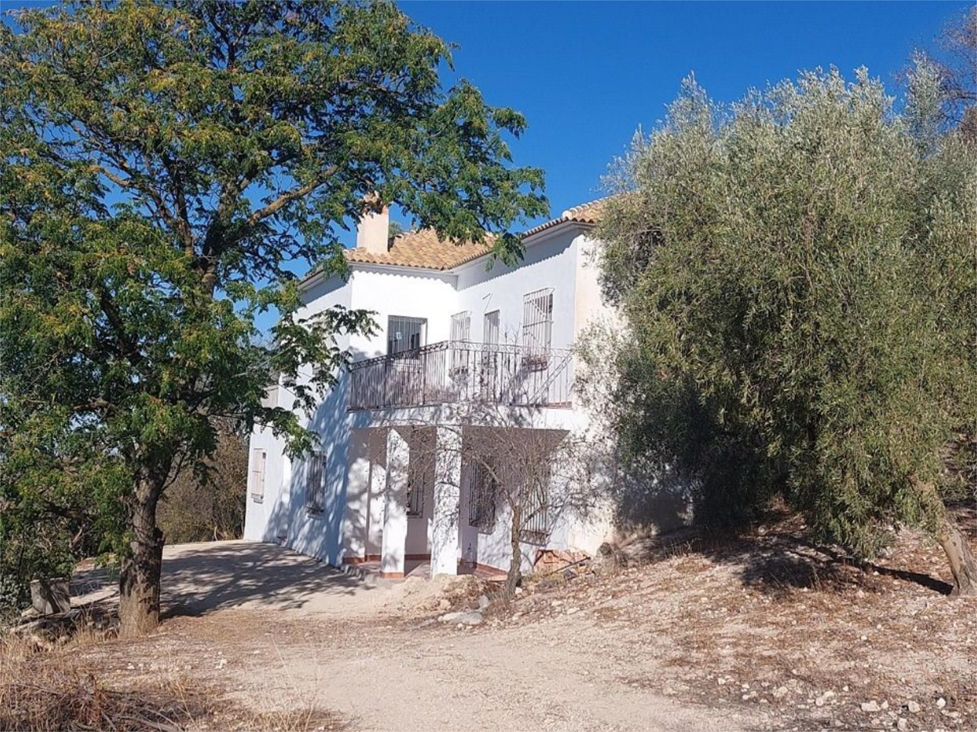 Vista exterior de Finca rústica en venda en Villanueva de Algaidas