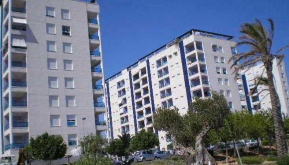 Piso en venta en Calle Baladre, 2, Platja de Torres, Alicante - imagen 1 Foto 1 de Piso en venta en Calle Baladre, 2, Platja de Torres, Alicante