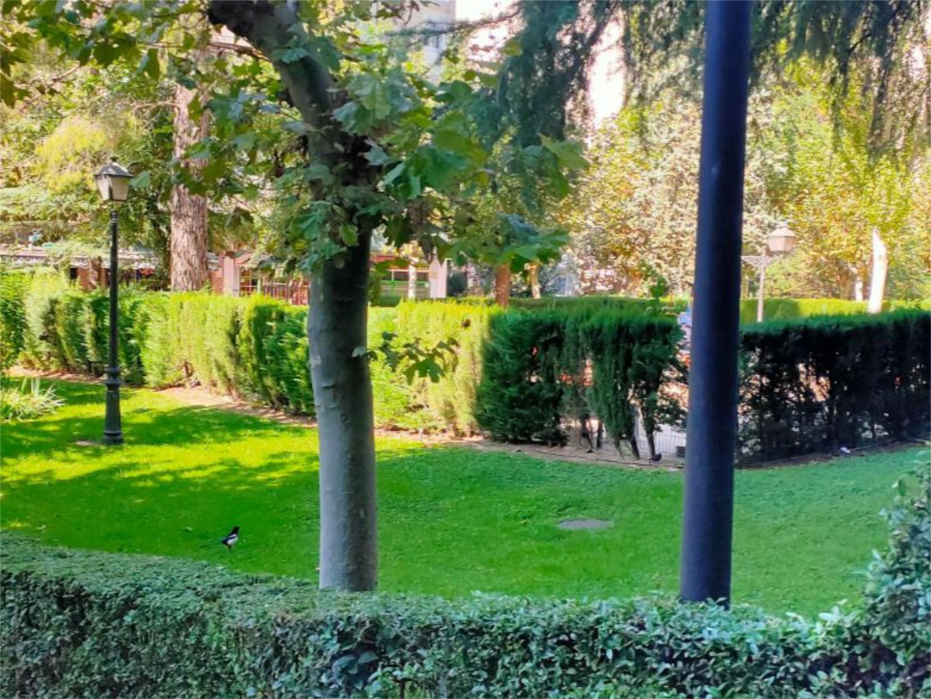 Jardí de Oficina de lloguer en  Madrid Capital