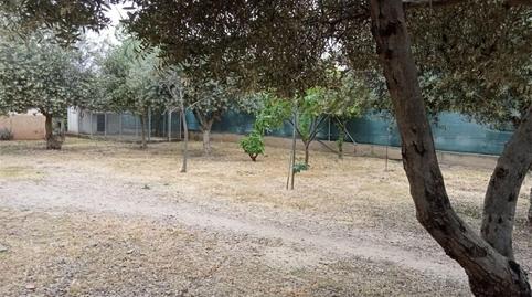 House or chalet for sale in Camino de la Barquera, 63, El Higuerón, Córdoba - image 4 Photo 4 of House or chalet for sale in Camino de la Barquera, 63, El Higuerón, Córdoba