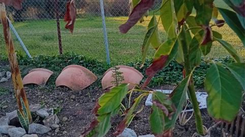 Photo 2 of Land for sale in Carretera Arroyo San Ambrosio, 385, Zahora, Cádiz