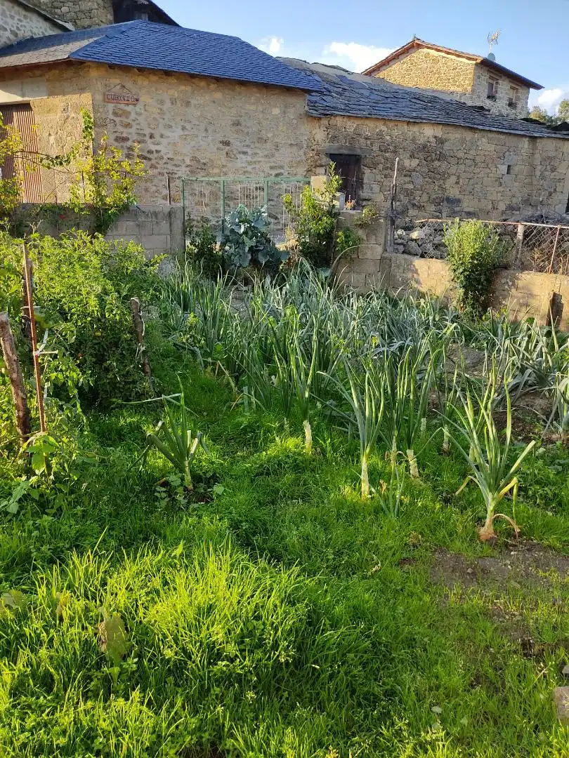 Jardín de Casa o chalet en venta en Muelas de los Caballeros con Calefacción, Terraza y Trastero
