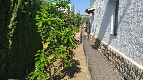Single-family semi-detached for sale in Pacs del Penedès, Barcelona - image 3 Photo 3 of Single-family semi-detached for sale in Pacs del Penedès, Barcelona