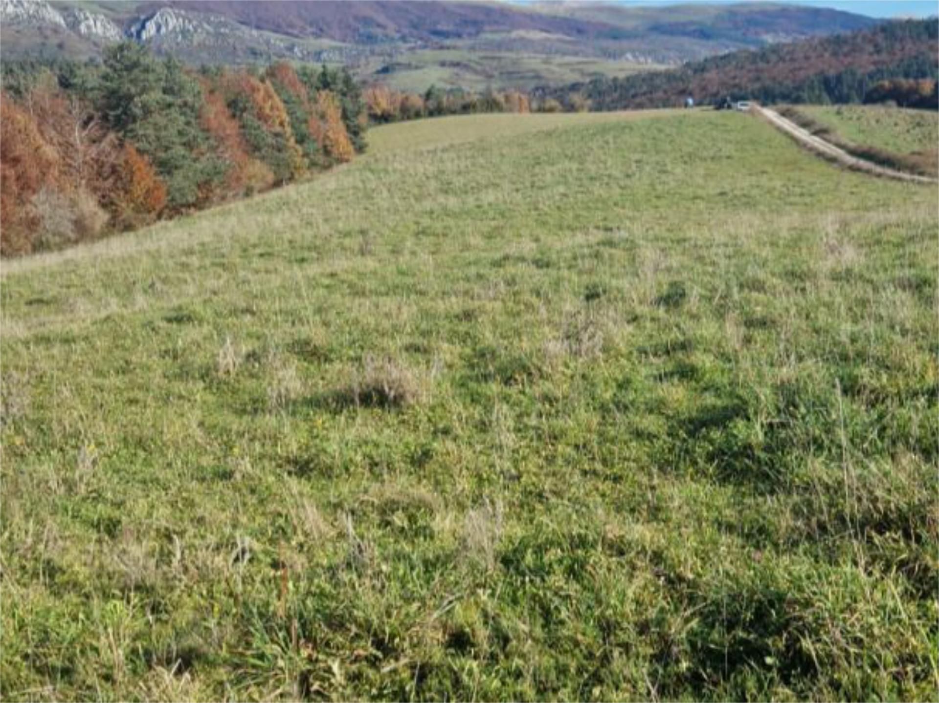 Land for sale in Abaurregaina / Abaurrea Alta