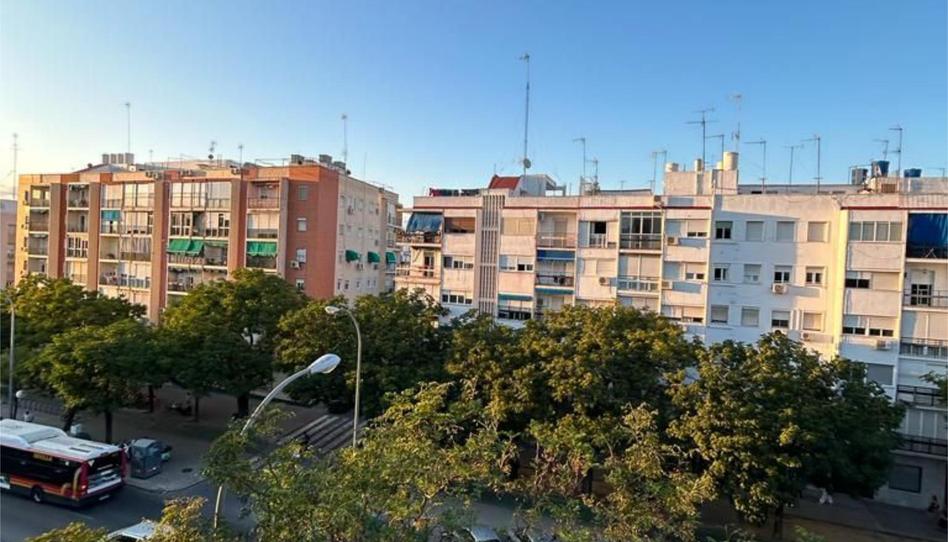 Flat to rent in Avenida Eduardo Dato, 34, La Buhaira, Sevilla - image 1 Photo 1 of Flat to rent in Avenida Eduardo Dato, 34, La Buhaira, Sevilla
